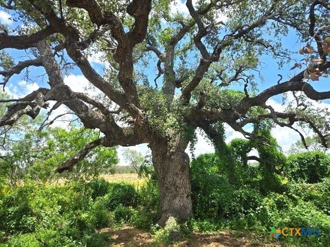 LAND - Gillett, TX