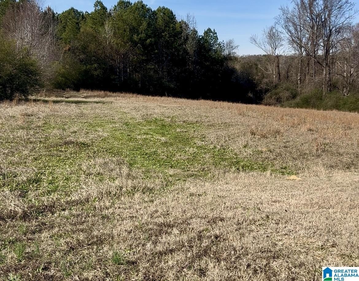 Residential Lots in Dora, Alabama