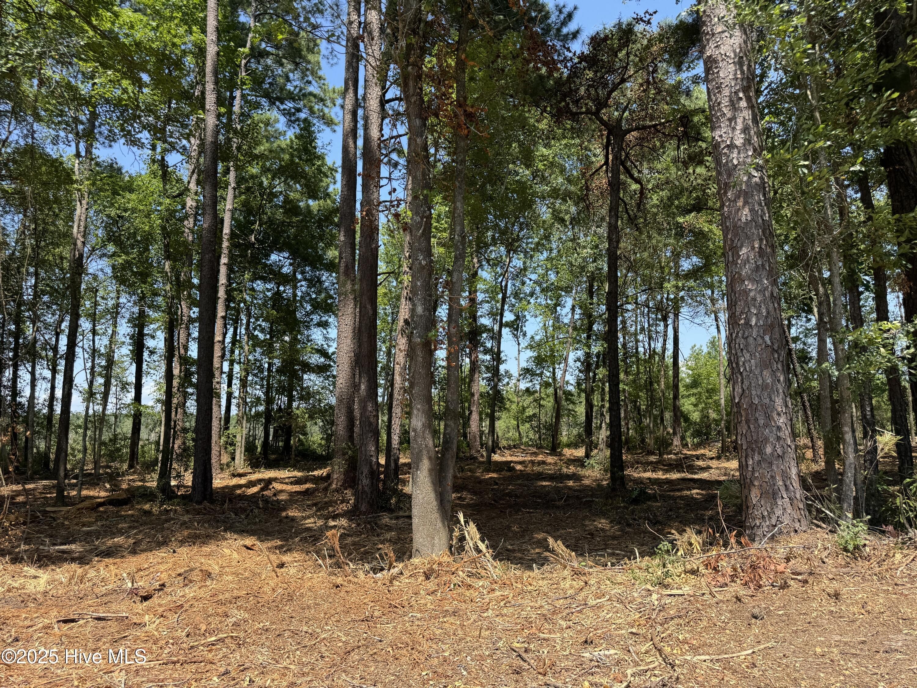 Land in Tabor City, NC