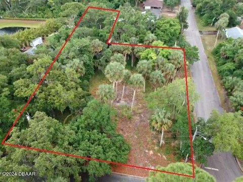 Oversized Lot in Port Orange