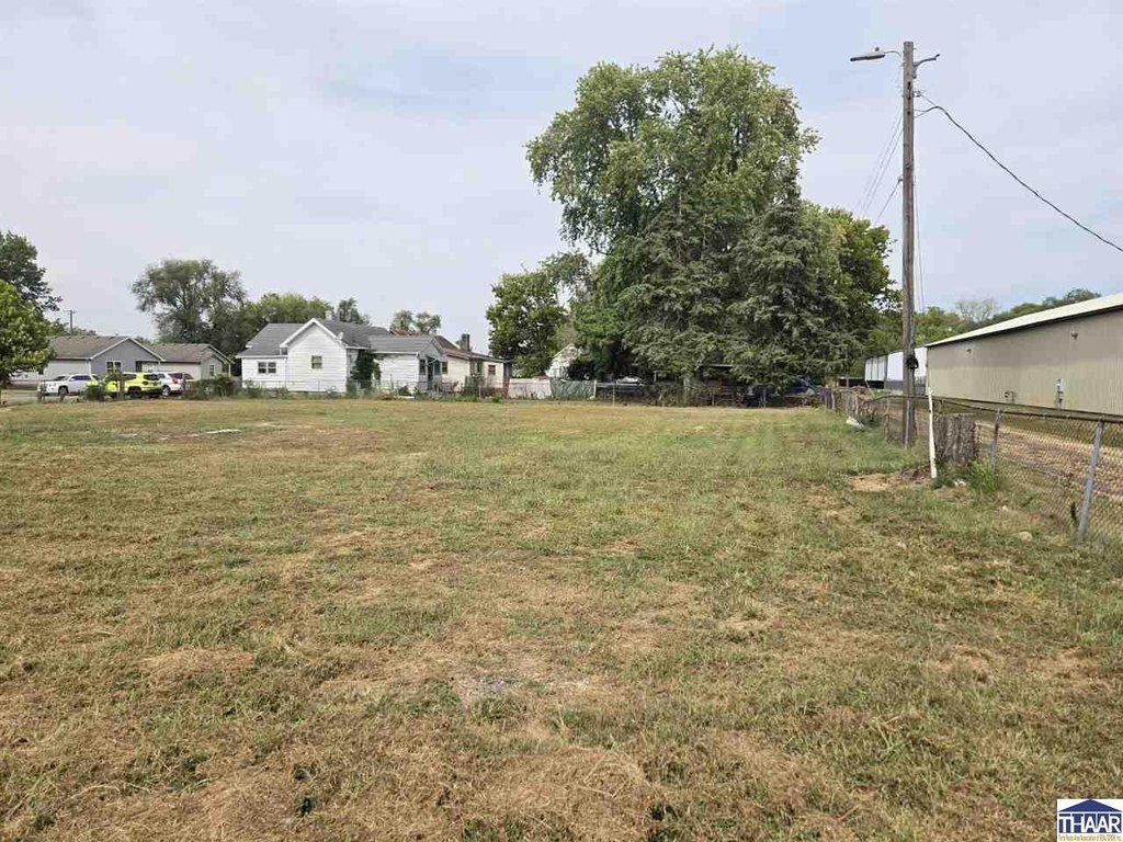 Picture 6