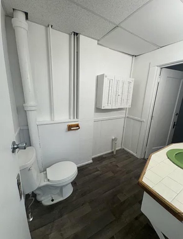 Picture 10