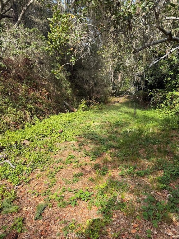 Picture 3