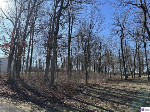Ekron, KY Vacant Lot