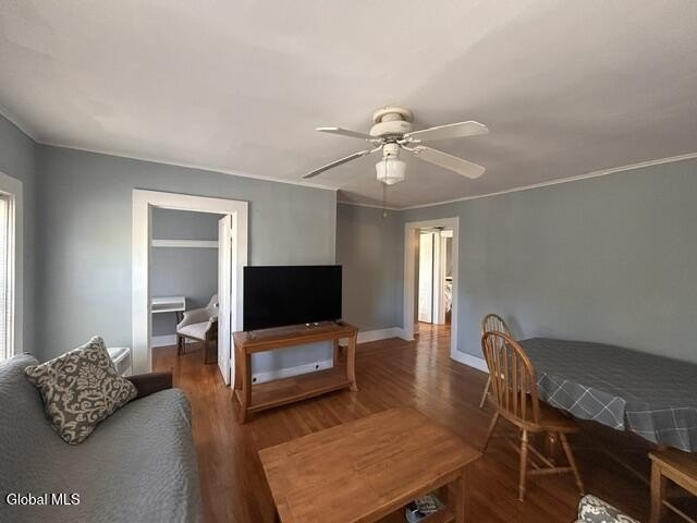 Picture 21
