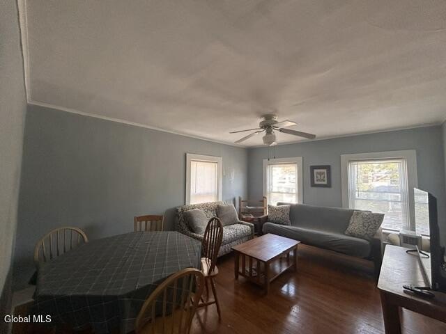 Picture 19