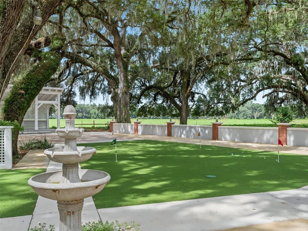Picture 34