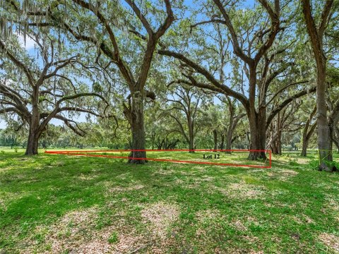 Land - BUSHNELL, FL