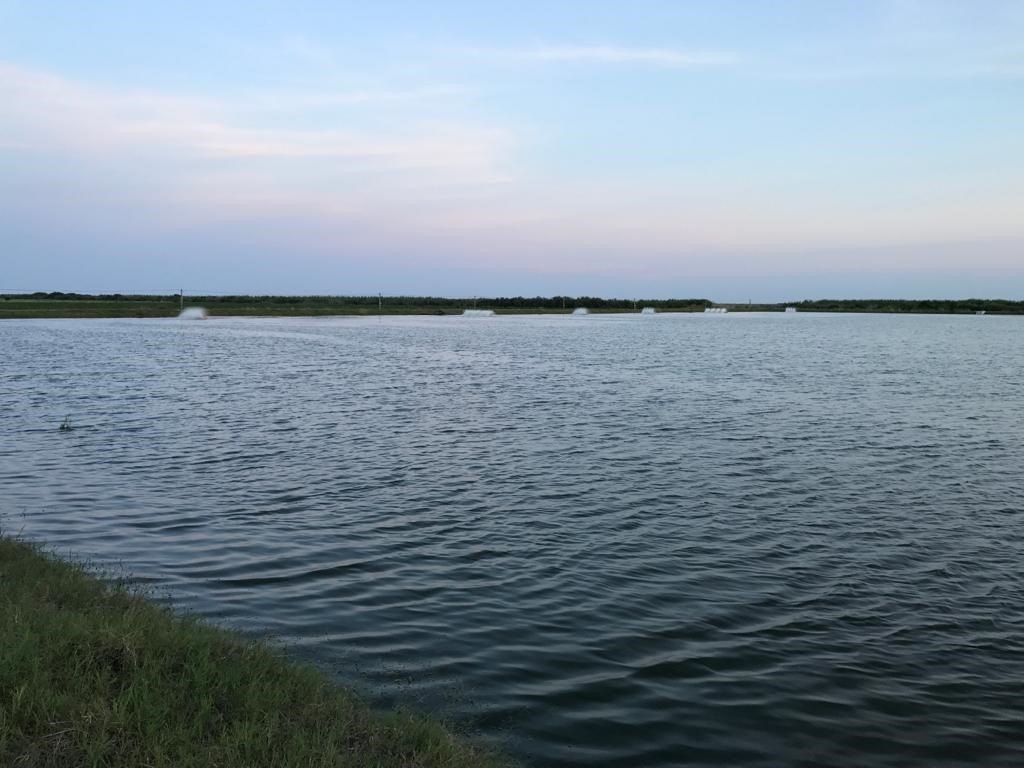 Picture 12