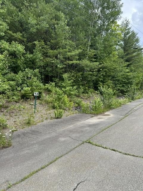 Picture 2