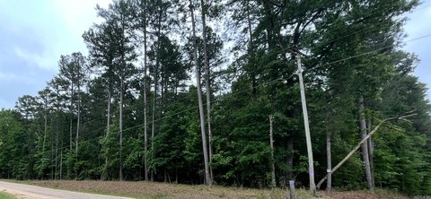 56.48 Acres of Timberland