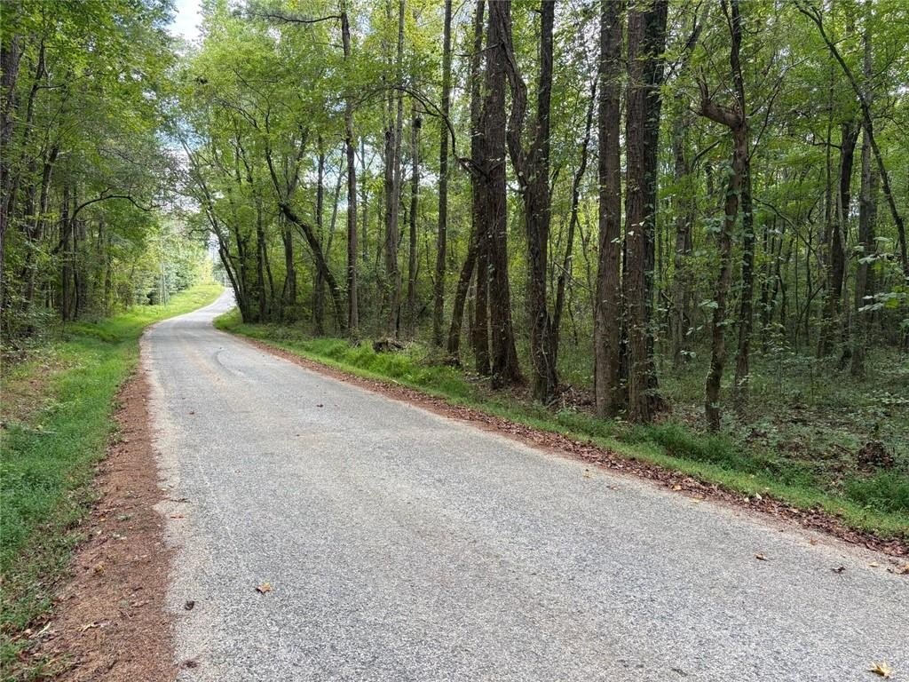 Picture 4