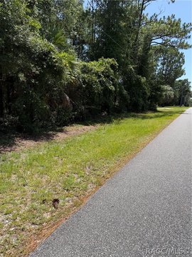 LAND - Lecanto, FL