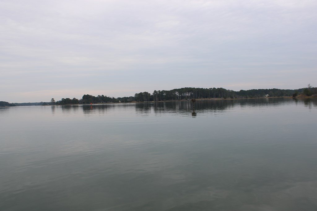 Picture 13