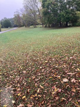Residential Land in Princeton, WV