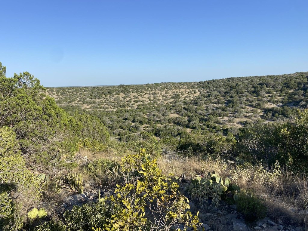 Picture 27