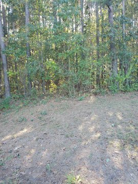 Quitman, AR Country Acreage