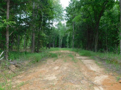 LAND - Gilmer, TX