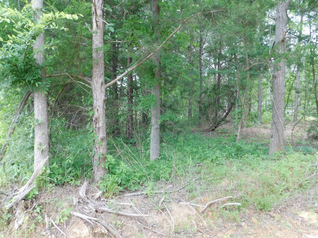 Picture 2