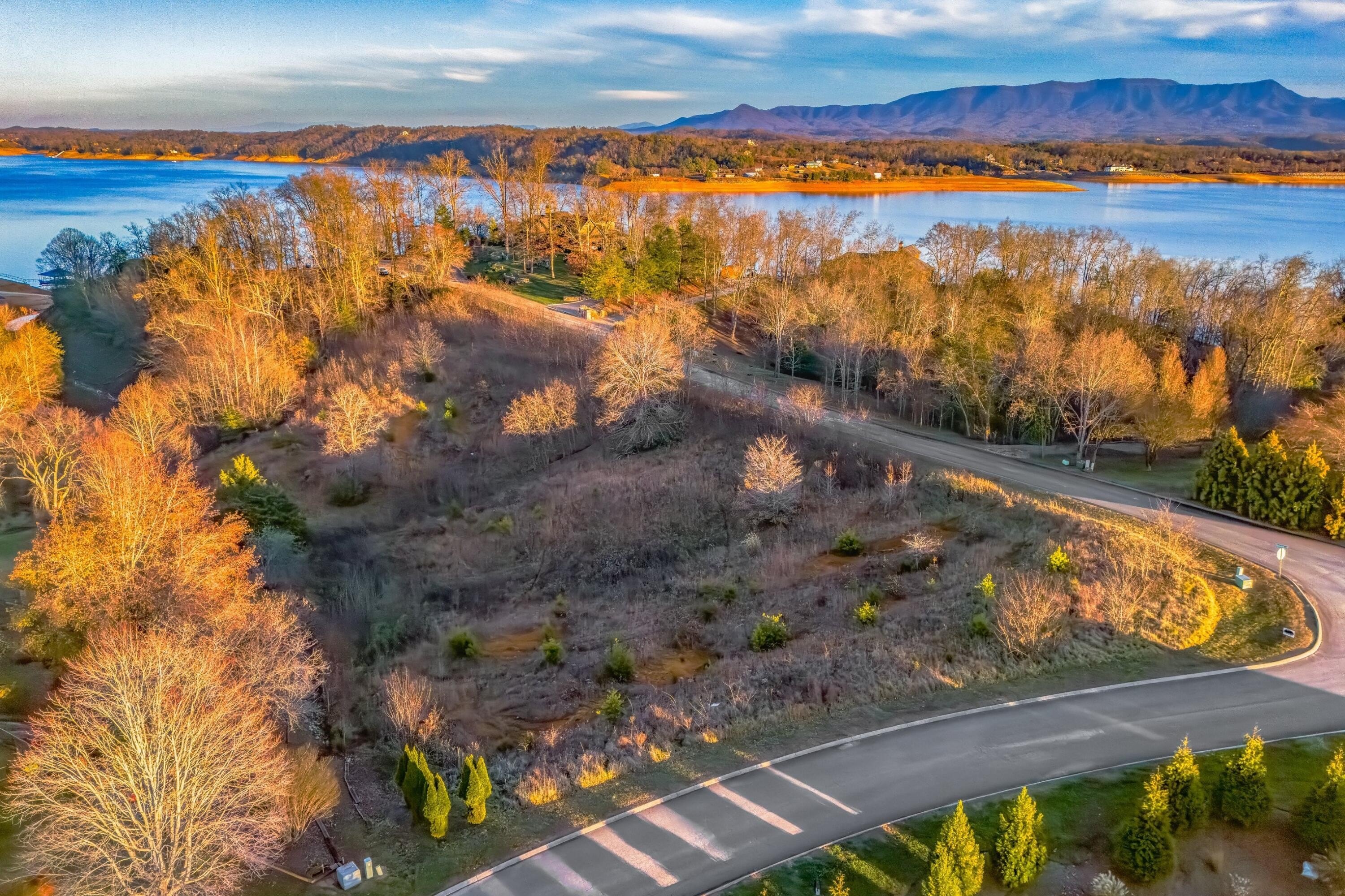 Douglas Lake Waterfront Land