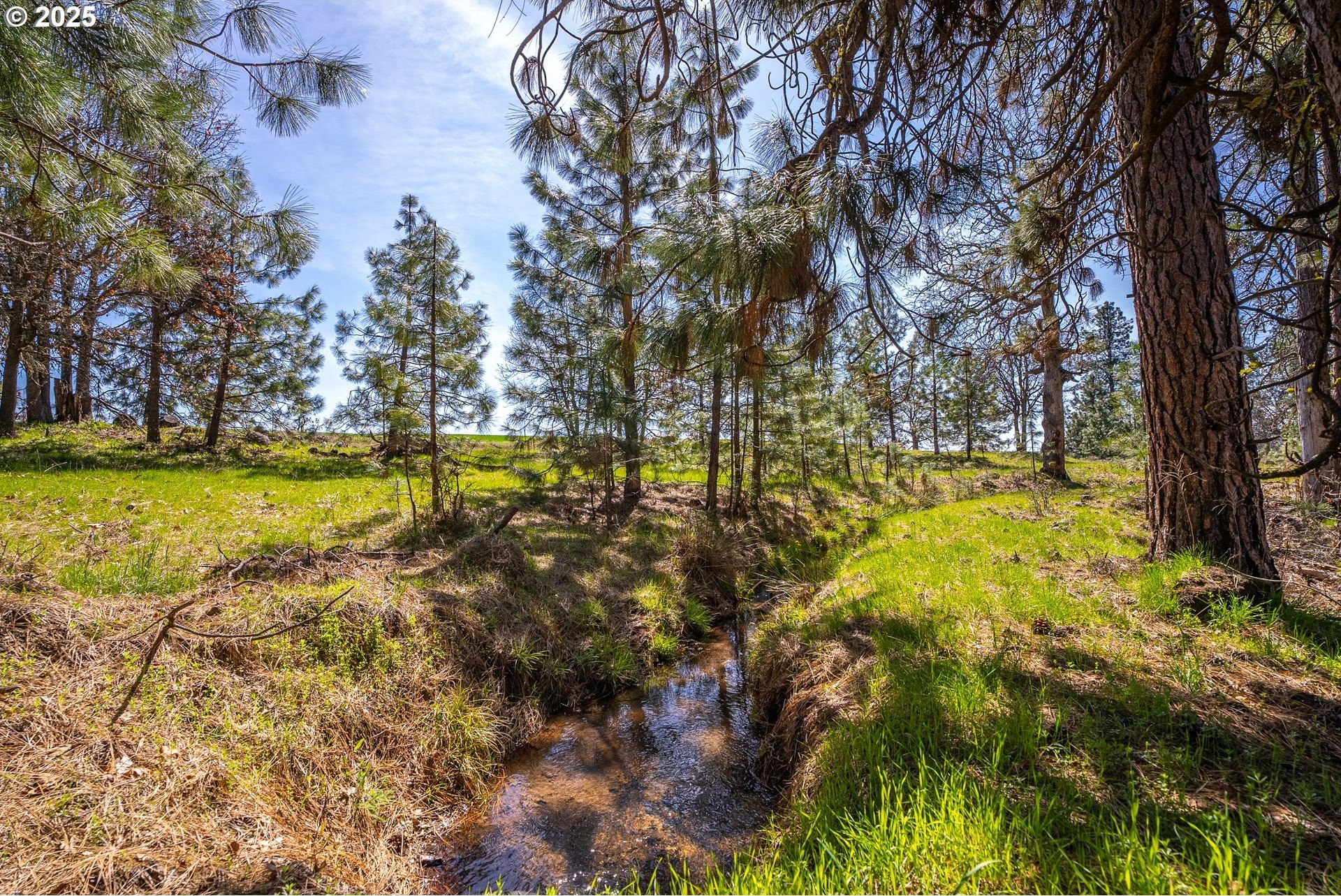 5-Acre Parcel with Mountain Views