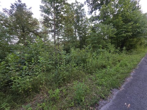 Land, Somerset, KY