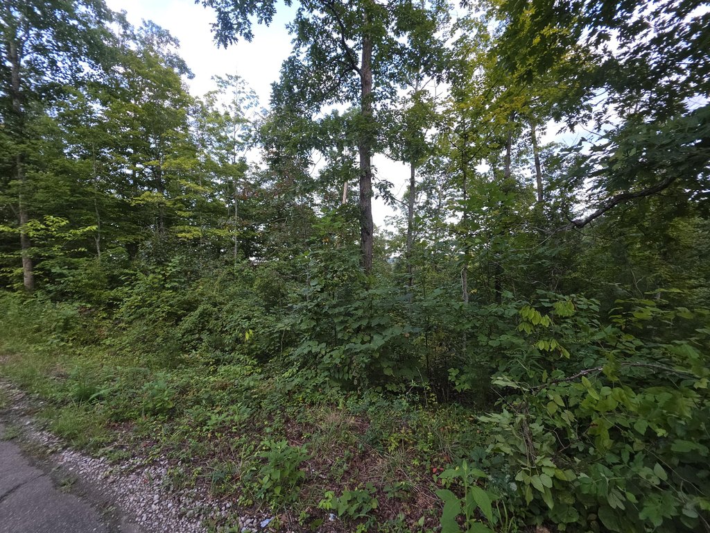 Picture 5