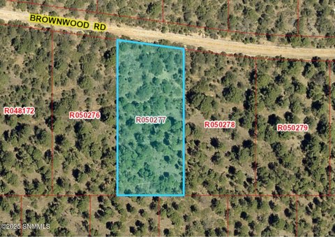 Scenic Land in Timberon, NM