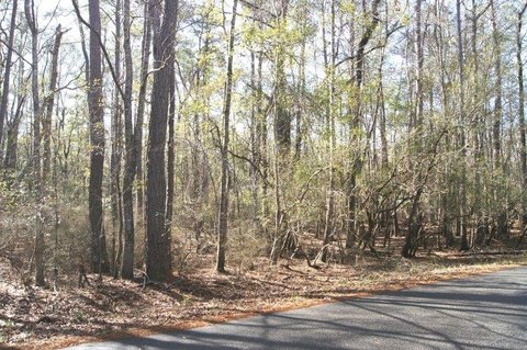 LAND, Georgetown, SC