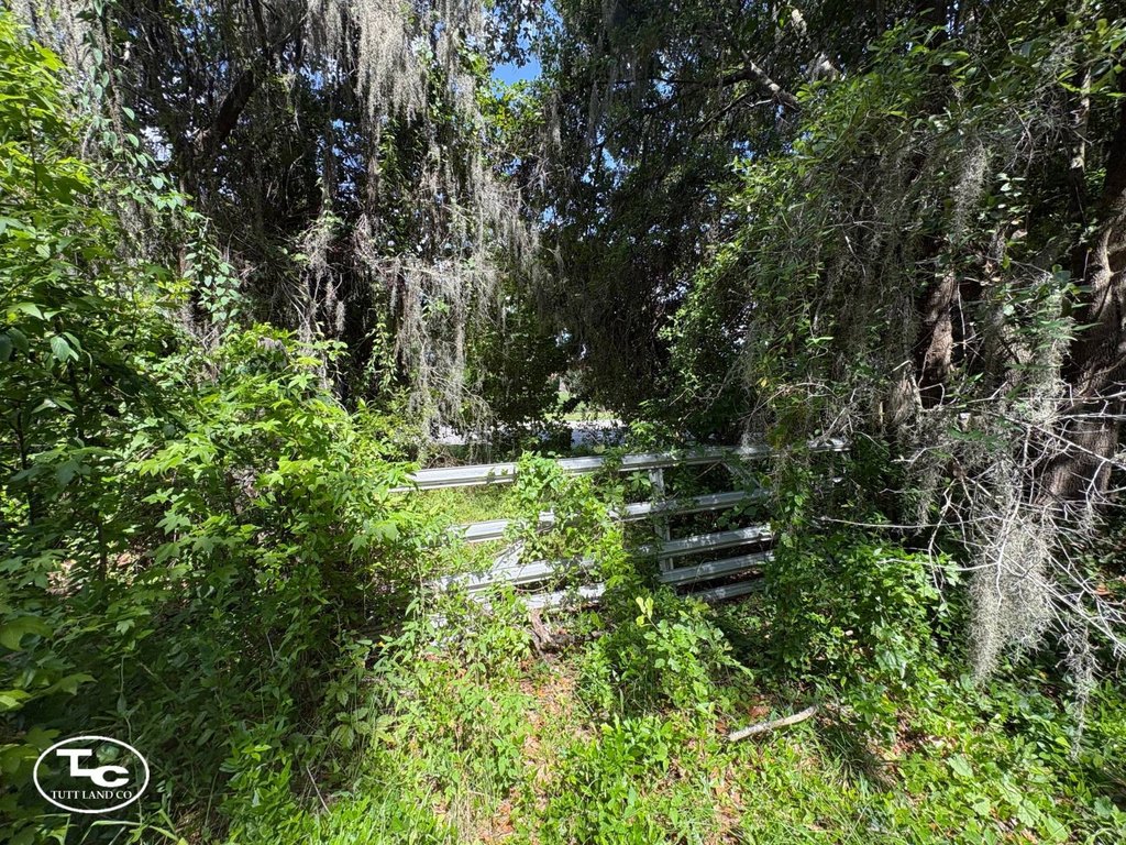 Picture 25