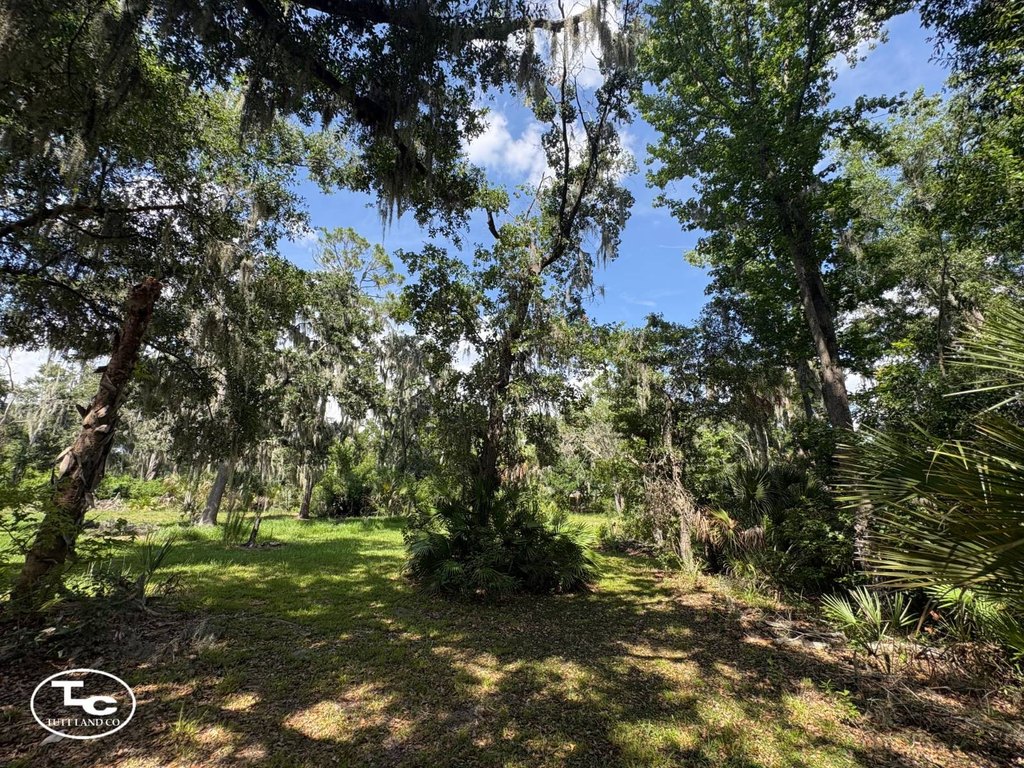 Picture 20