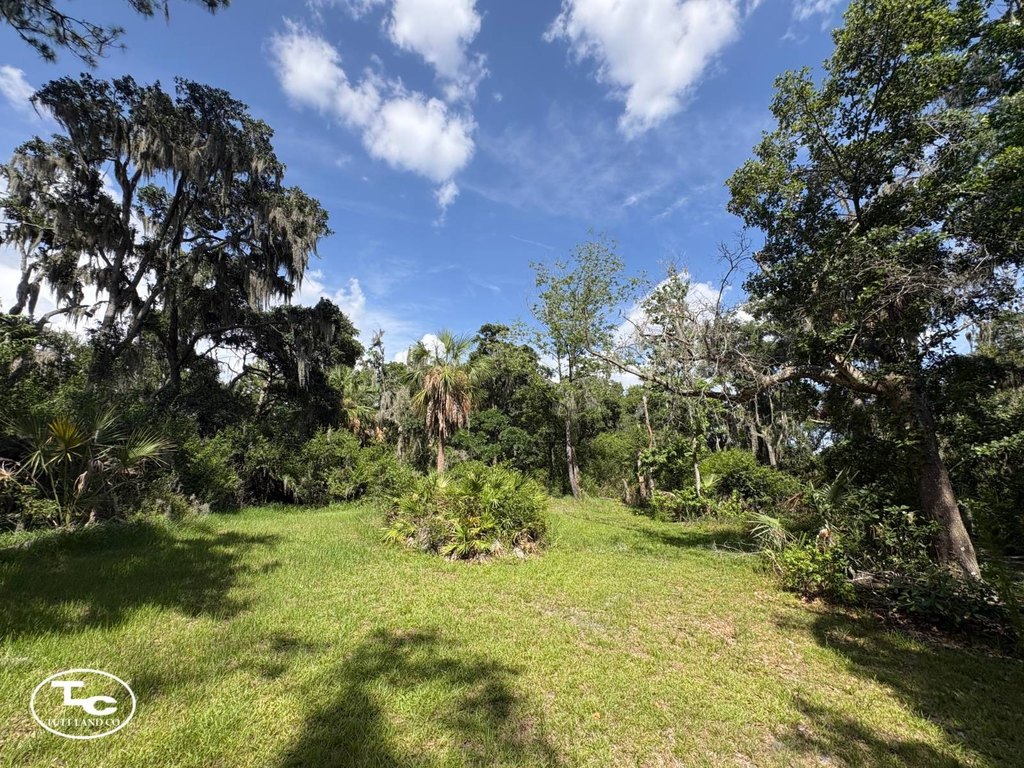Picture 23