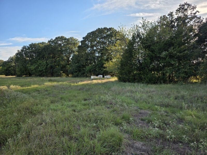 Picture 15