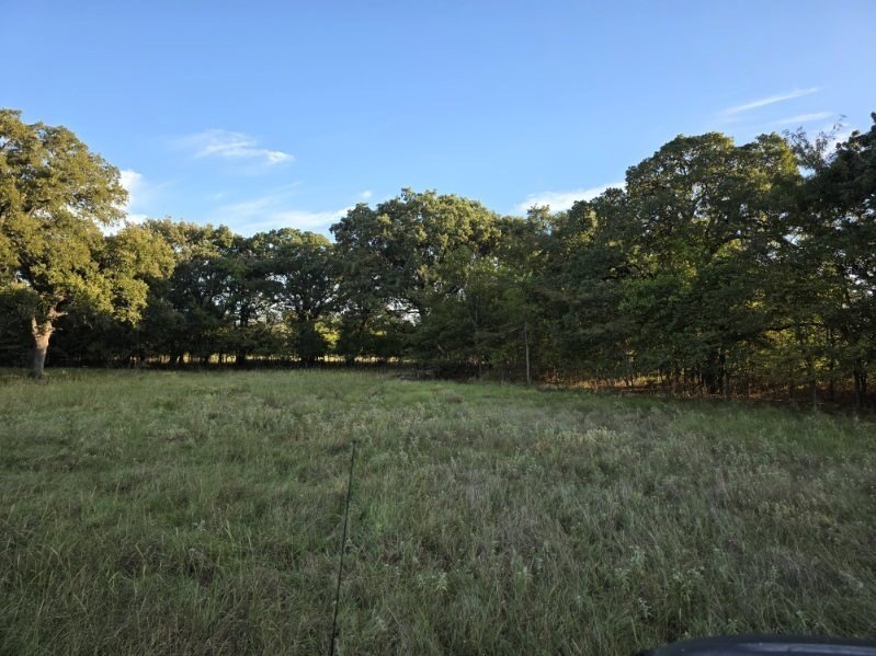 Picture 20