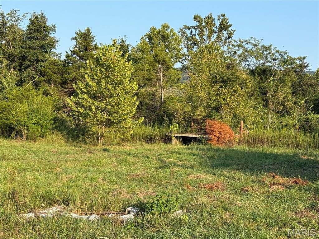 Picture 10