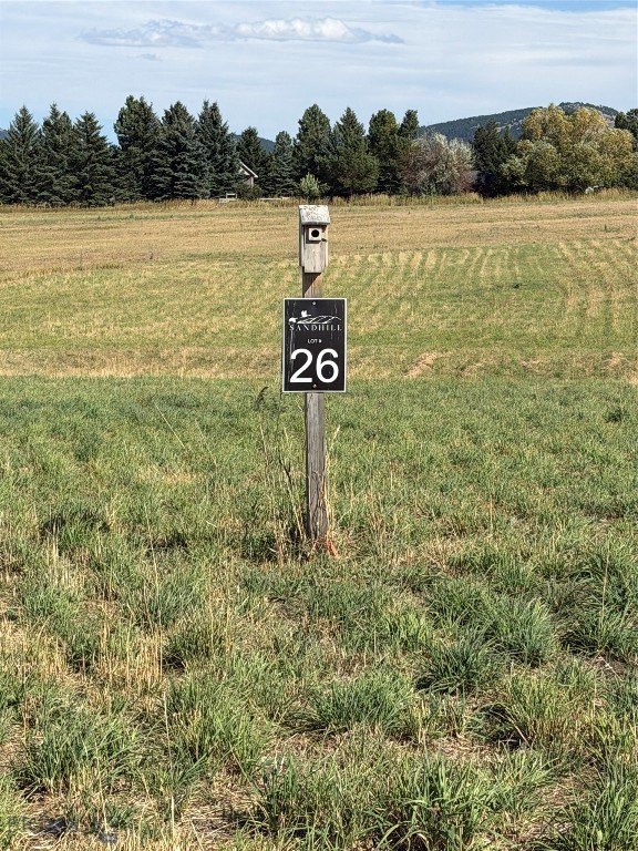 Picture 14