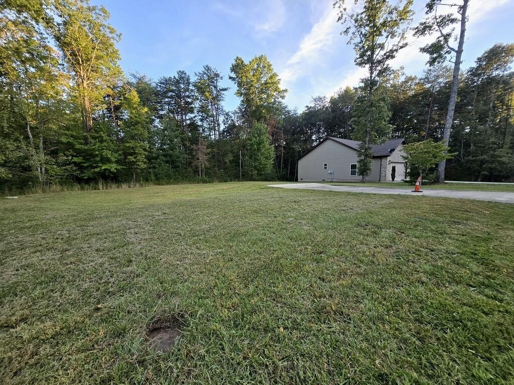Picture 12