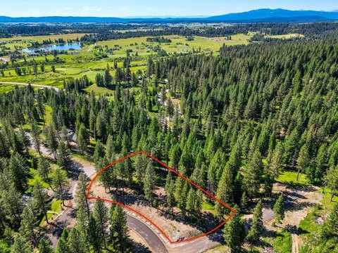 Mountain Estate Homesite in McCall
