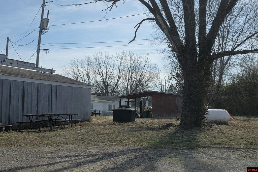 Picture 6
