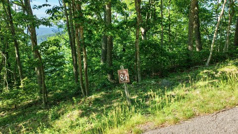 LAND - Caldwell, WV