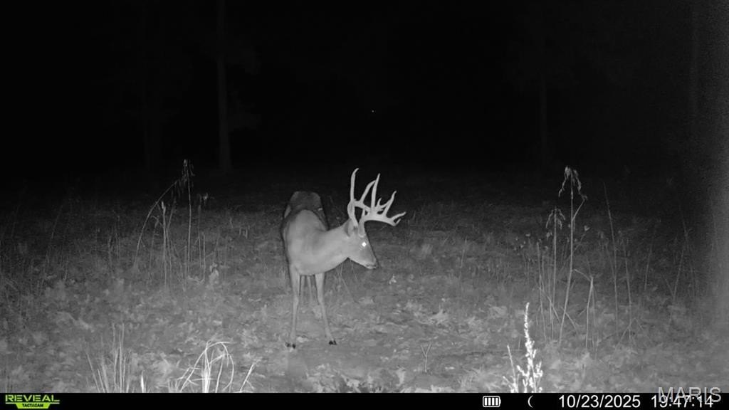 Picture 18