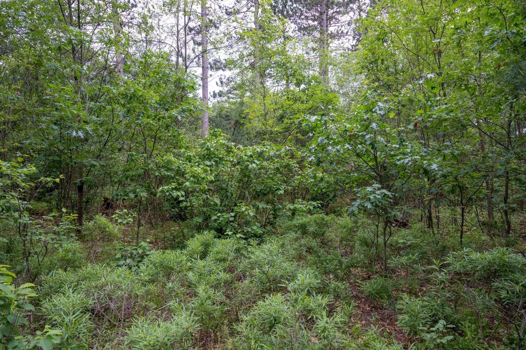Picture 24