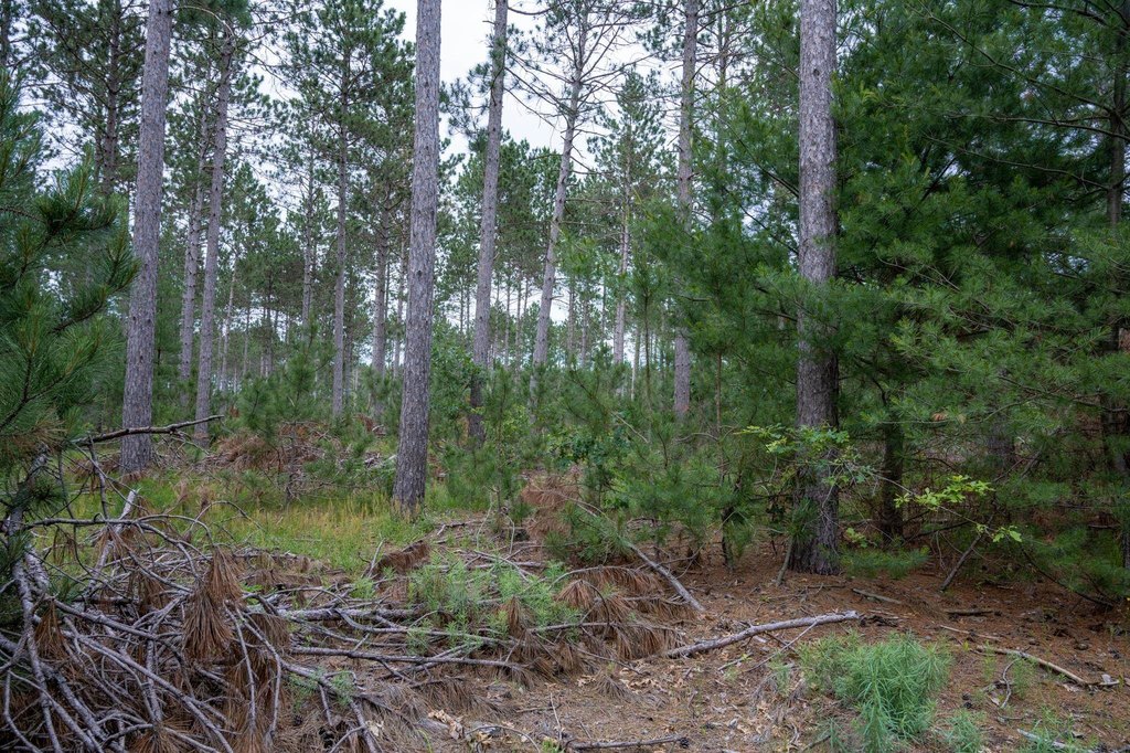 Picture 15