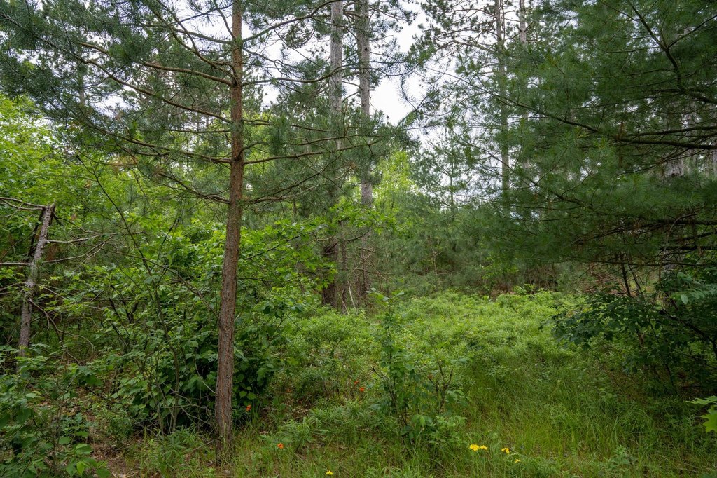 Picture 30
