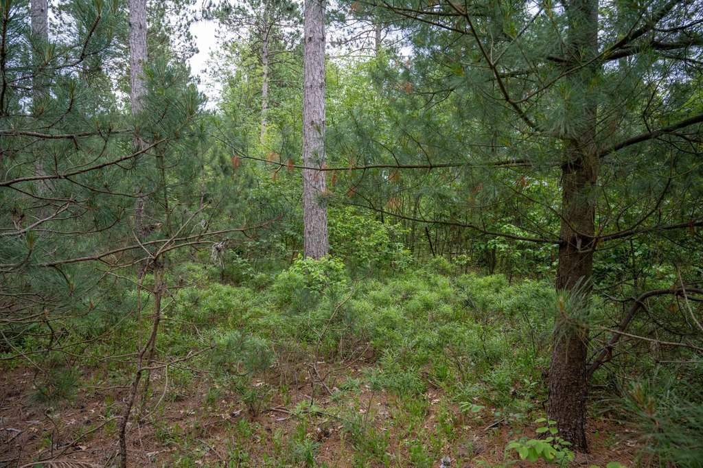 Picture 23