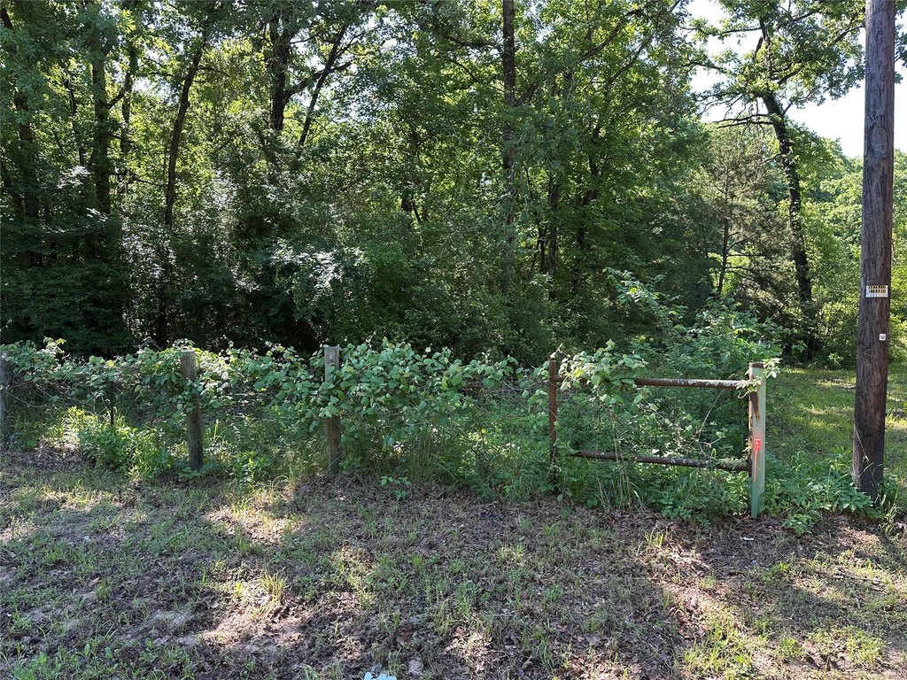 Picture 12