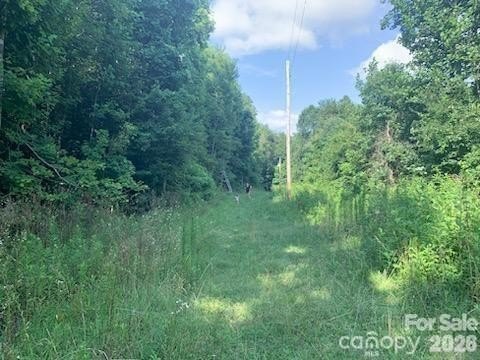 LAND - Taylorsville, NC