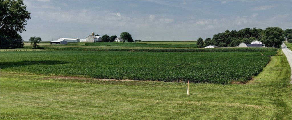 Picture 23