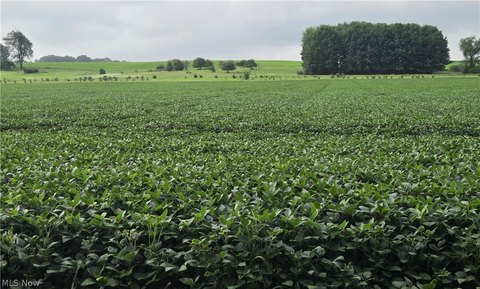 Land, Orrville, OH