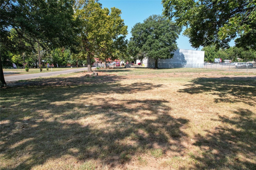 Picture 6